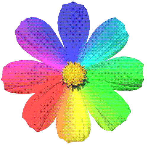 rainbow flower