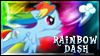 rainbow dash