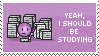 I should be studying